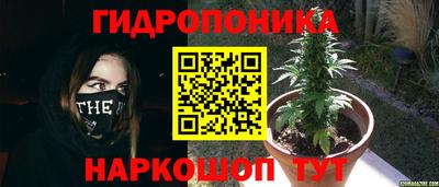 мдма Краснознаменск