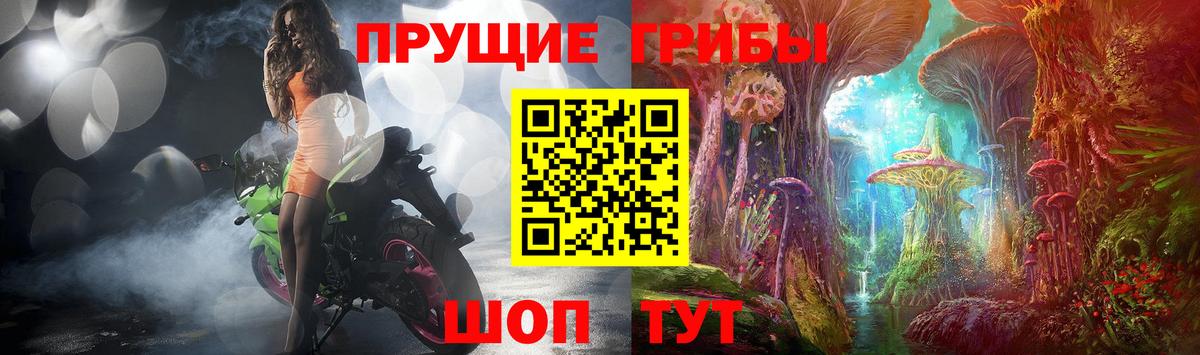 Кисловодск  Псилоцибиновые грибы ЛСД  Вход с VPN  Псилоцибиновые грибы Cubensis 