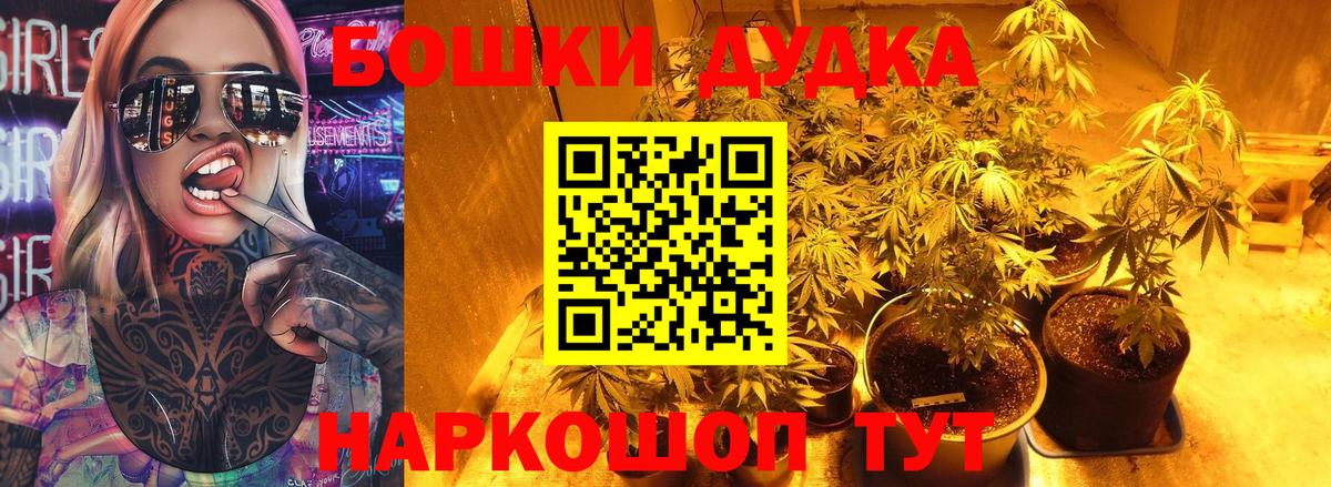 Бошки марихуана сатива  Каннабис сатива  Кисловодск  Каннабис SATIVA & INDICA  Вход с VPN 